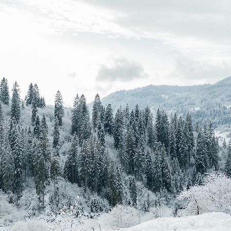 Казковий Дім Та Garden Два Будиночки В Горах З Чаном-Джакузі Slavske Exteriör bild