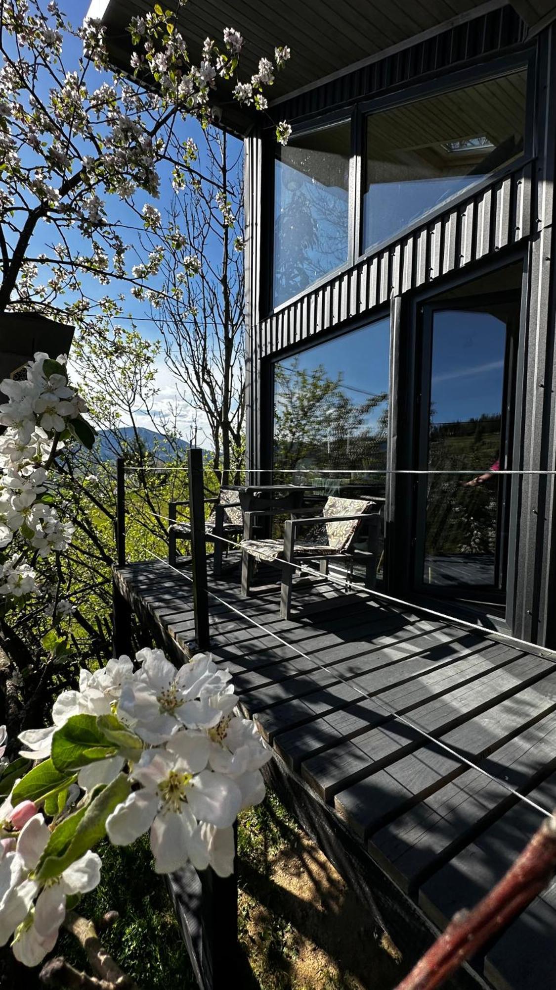 Казковий Дім Та Garden Два Будиночки В Горах З Чаном-Джакузі Slavske Exteriör bild